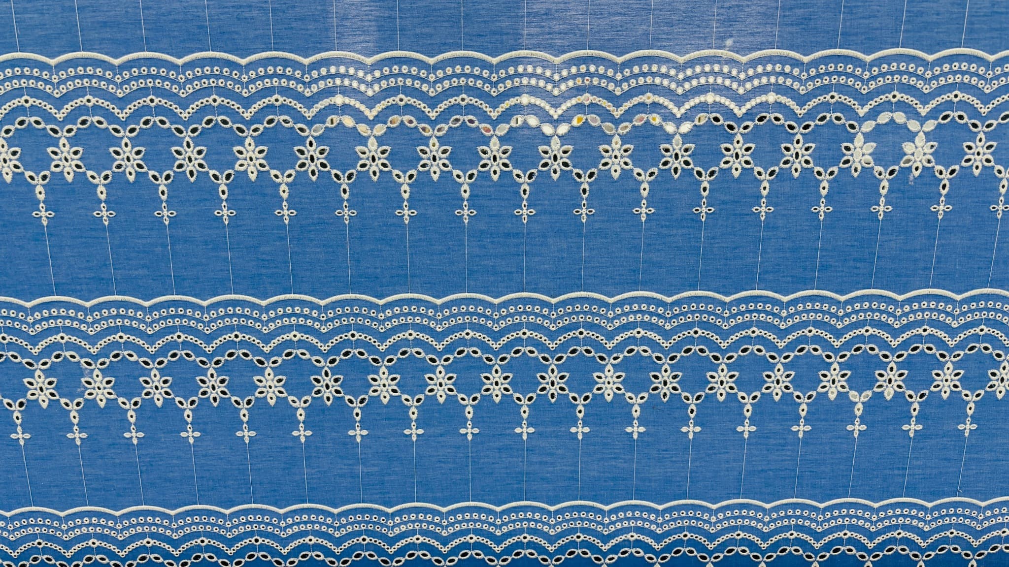 Schiffli embroidery — sample 1