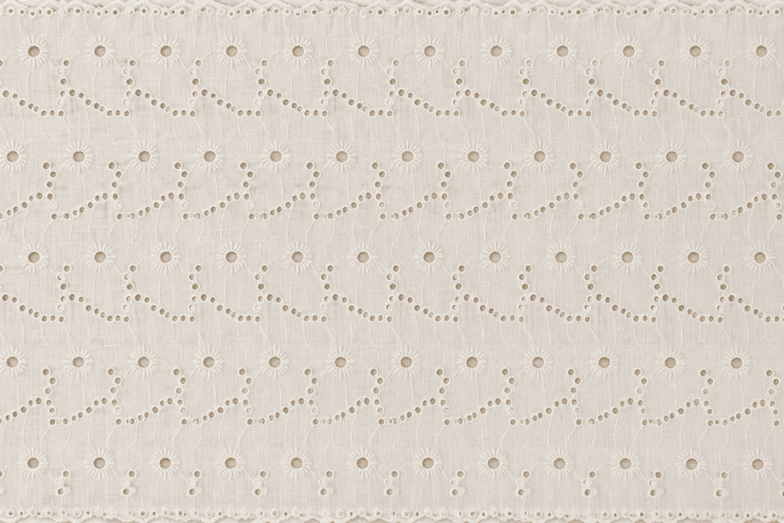 Schiffli embroidery — sample 2