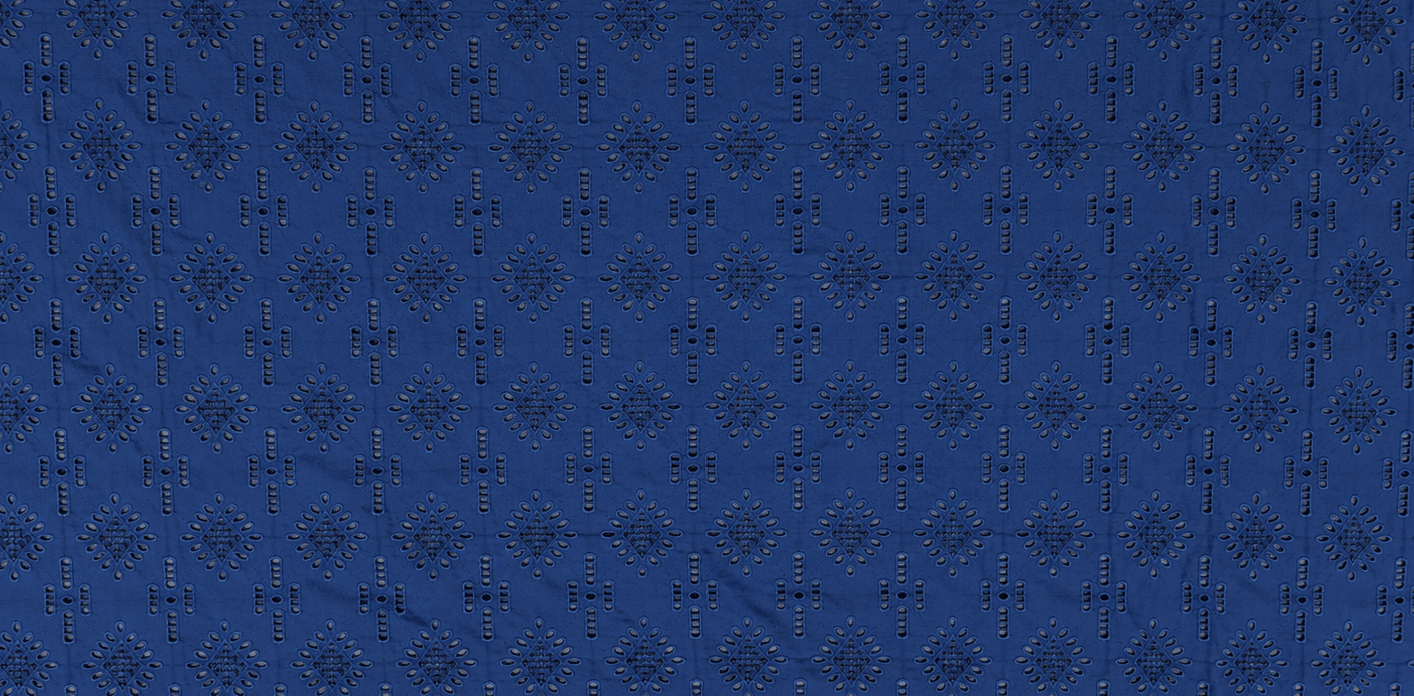 Schiffli embroidery — sample 48