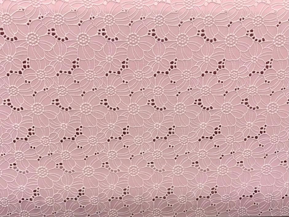 Schiffli embroidery — sample 50